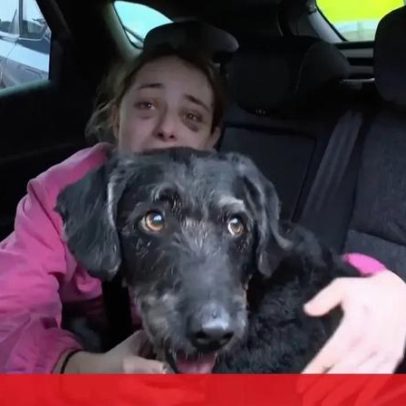 Reencontro de Ana e Boro, cão desaparecido após colisão de comboios na Espanha