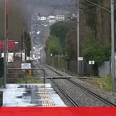 Linha do Minho retoma circulação após queda de árvore