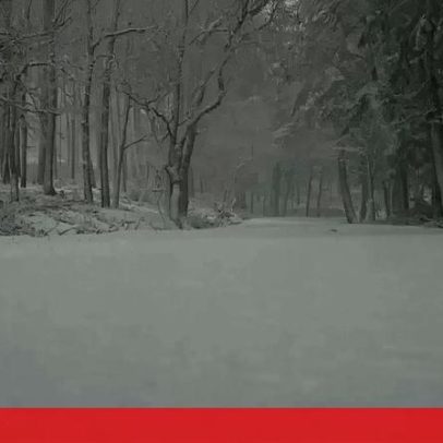Neve fecha várias estradas na Serra da Lousã