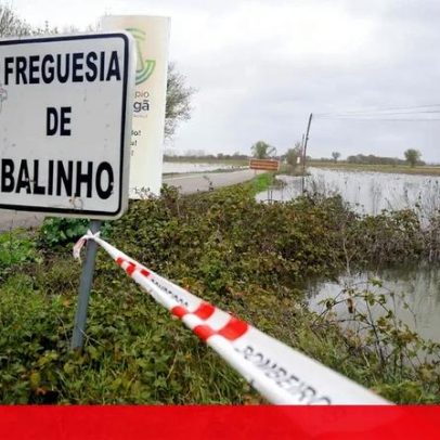 Subida do Tejo inunda campos agrícolas e estradas ficam submersas