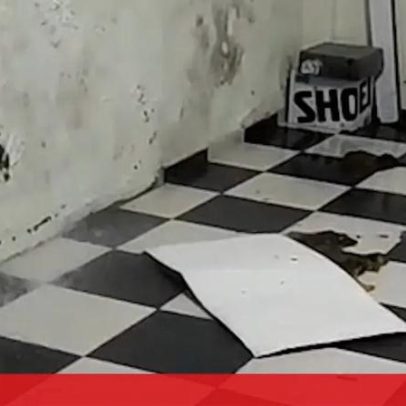 Vídeo mostra chuva intensa a entrar nos vestiários da PSP de Braga