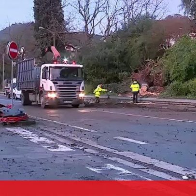 Morreu homem após queda de árvore sobre carro em Vila Franca de Xira