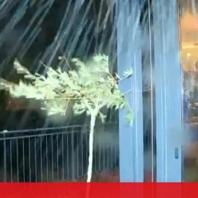 Ventos fortes em Coimbra impedem equipa da CMTV de realizar reportagem