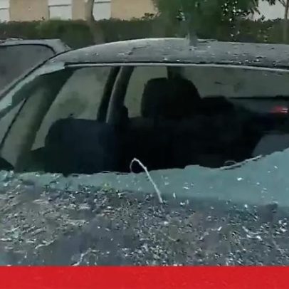 Ventos fortes no Algarve causaram sobretudo quedas de árvores