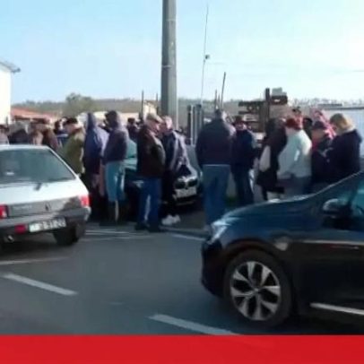 População aguarda em longas filas para comprar telhas em Leiria