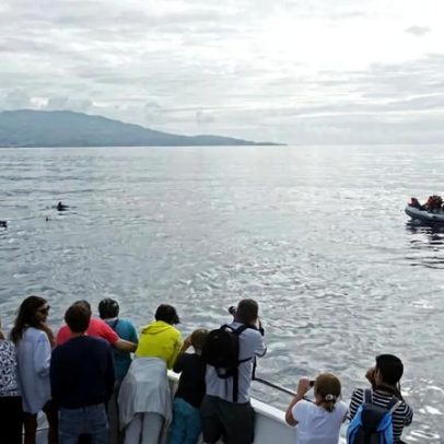 Atlânticoline cancela viagens nos Açores por mau tempo