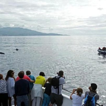 Atlânticoline cancela viagens nos Açores na sexta-feira devido ao mau tempo