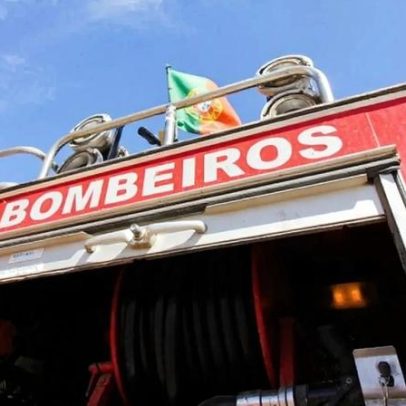 Bombeiros belgas juntam-se a Penela nos trabalhos de limpeza