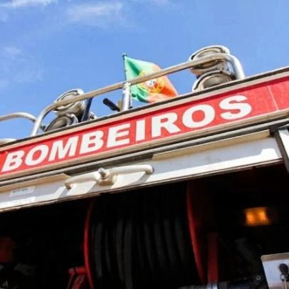 Bombeiros belgas ajudam Penela em trabalhos de limpeza