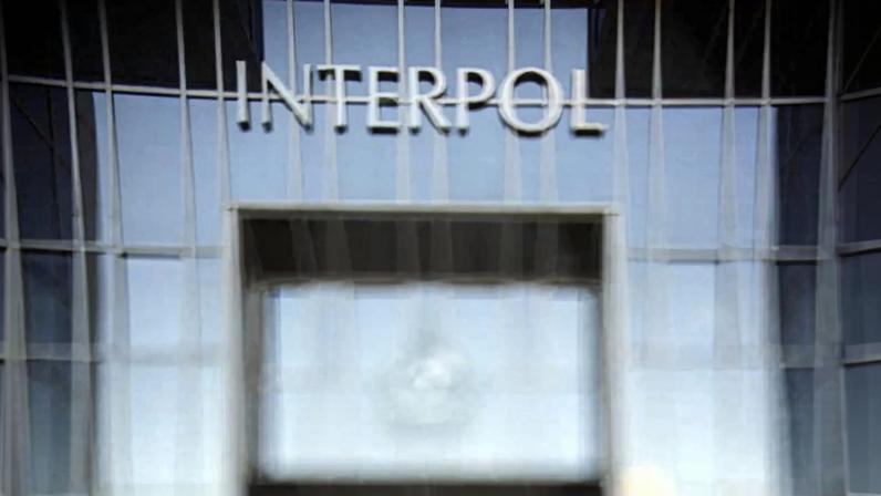Operação da Interpol identificou 12.992 "imigrantes em situação irregular"