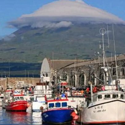 Federação das Pescas dos Açores solicita apoio para pescadores com mau tempo