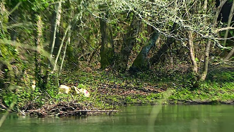 Vítima estaria a pescar no rio Coura