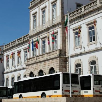 Câmara de Coimbra aprova proposta para melhorar rede de transportes públicos