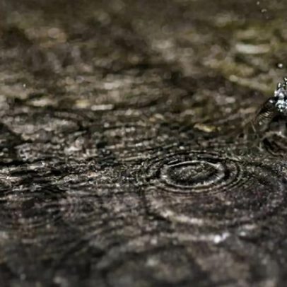 Quase 100 ocorrências por mau tempo: quedas de árvores e estradas cortadas