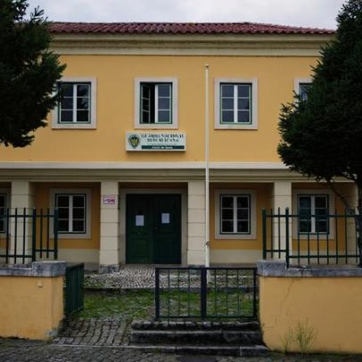 Ferido grave em acidente florestal na Sertã