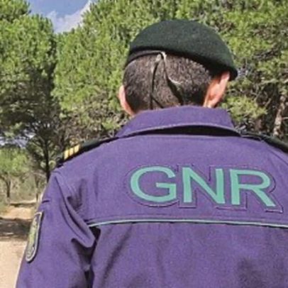 GNR resgata 25 cães de canil em Gondomar devido ao caudal do rio Sousa