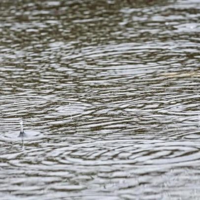 Árvores caídas e deslizamentos de terras em Vila Franca de Xira