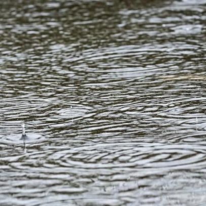 Proteção Civil regista 81 ocorrências entre 00h00 e 08h00 por mau tempo