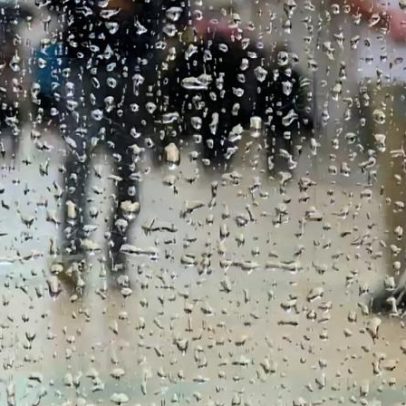 Proteção Civil regista 91 ocorrências por mau tempo na Madeira
