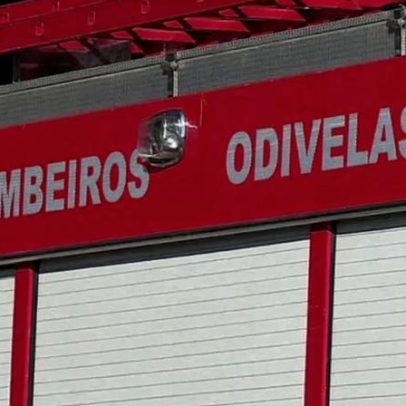 Queda de árvore em Odivelas danifica dois carros e uma habitação