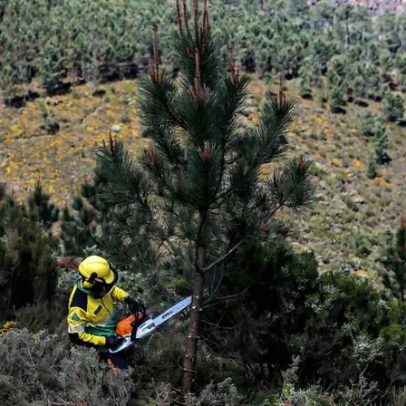 Mais de 5,7 milhões de terrenos rústicos em Portugal ainda não identificados