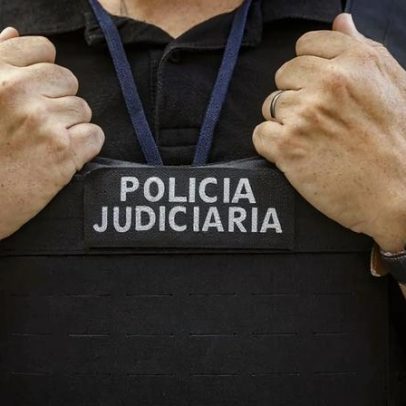 PJ desmantela unidade de produção de cannabis em Cantanhede e detém suspeito