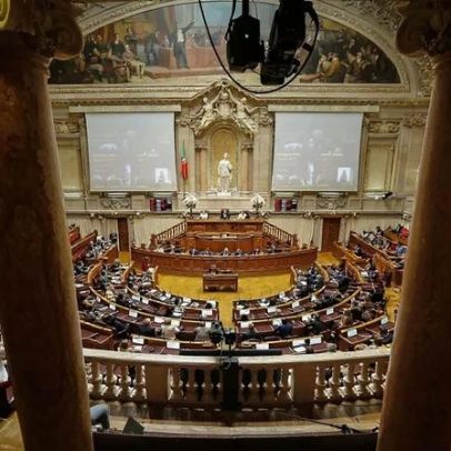 Organizações ambientalistas rejeitam alterações à Lei de Bases do Clima