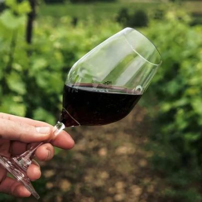 Acordo de livre comércio impulsiona exportações de vinho e azeite