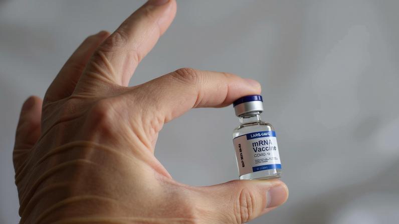 Guiné-Bissau cancela vacinação à nascença e estudo sobre hepatite B em crianças