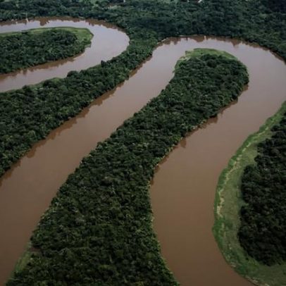 Comercializadoras de soja fecham acordo para reduzir desflorestação na Amazónia
