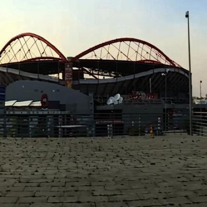 Sócios do Benfica aprovam projeto Benfica District com 59,24% votos
