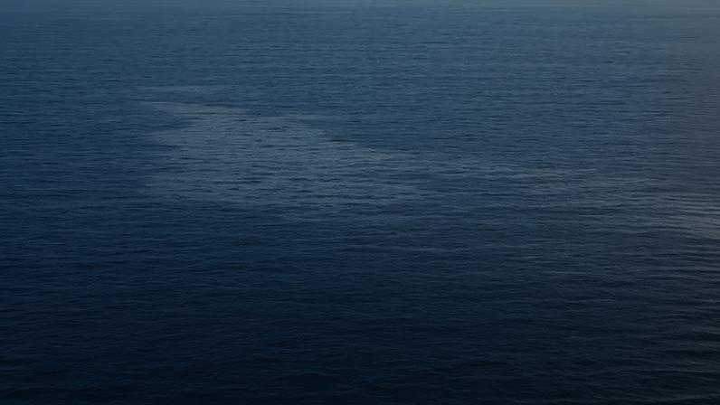 Portugal avança para 27% de oceano protegido, afirma ministra do Ambiente