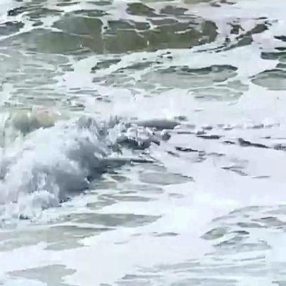 Câmara de Caldas da Rainha alerta para estruturas em risco na Foz do Arelho