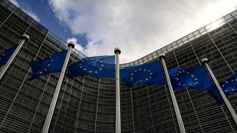 Bruxelas atualiza medidas contra gripe aviária após focos, incluindo Santarém