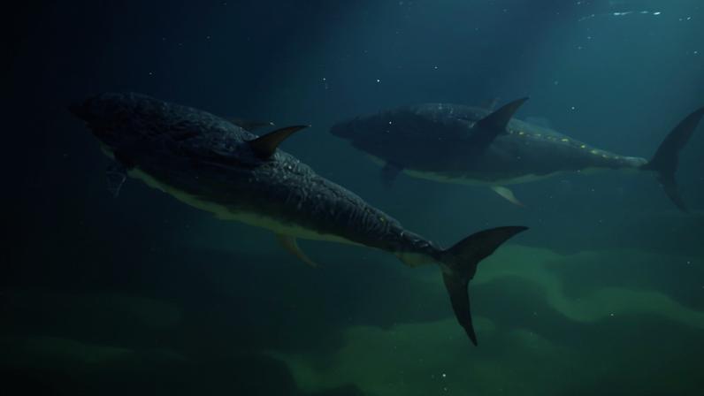 Pescar ou não atum em área protegida, a decisão dos Açores que será sempre polémica