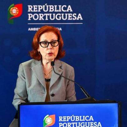 Ministra do Ambiente defende otimizar o ICNF até ao final do verão
