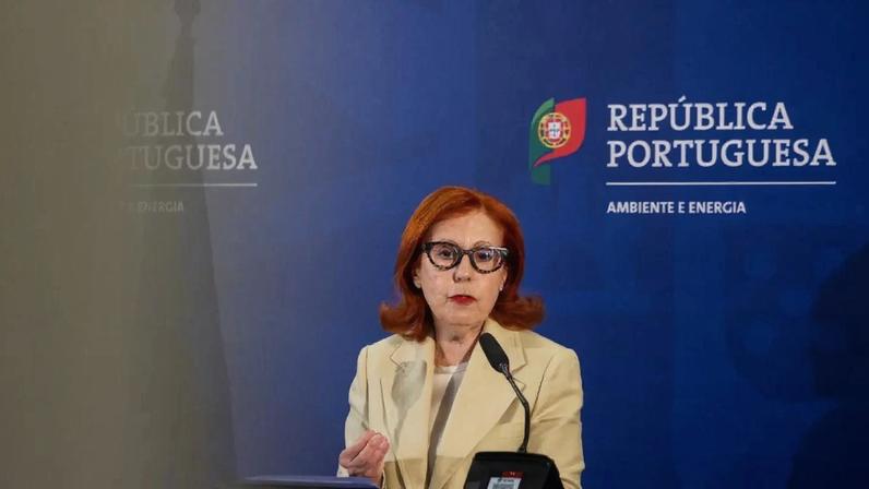 Maria da Graça Carvalho