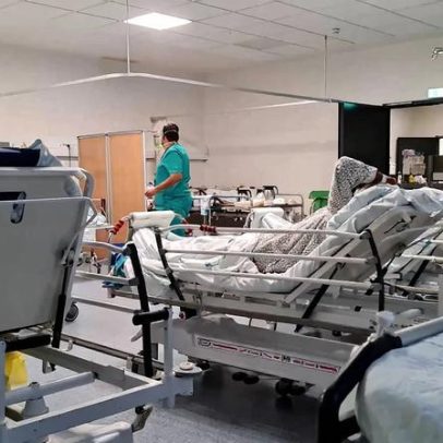 Candida auris: INSA revela que primeiro caso em Portugal foi detetado em 2022