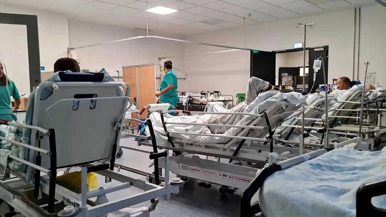 A taxa bruta de mortalidade hospitalar por Cândida Auris é estimada entre 30% e 72%