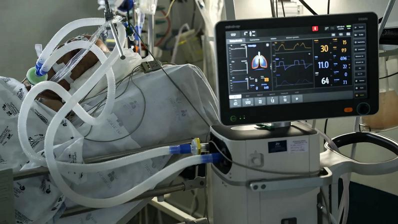 Entre 6 de dezembro de 2025 e 21 de janeiro de 2026 registaram-se 20 505 mortes no País