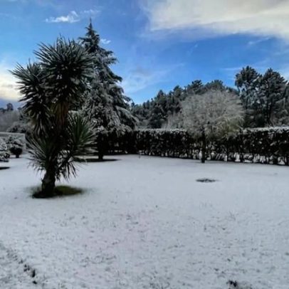 Queda de neve corta estrada municipal entre Cinfães e Castro Daire