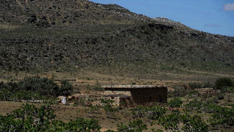 Socotra, Iémen
