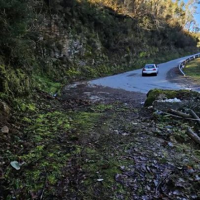 Despiste de carro junto ao rio Vouga faz vítima estudante de 18 anos
