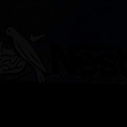 ASAE retira do mercado lotes de fórmula infantil da Nestlé