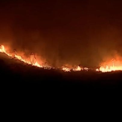 Governo pretende duplicar área de fogo controlado e valorizar pastoreio