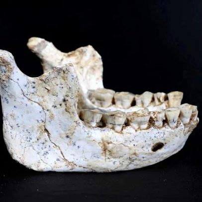 Descoberta reforça origem africana do Homo sapiens