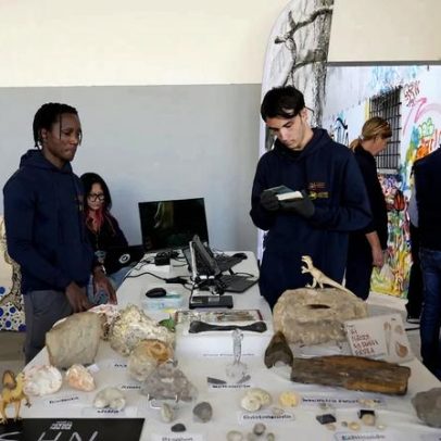 Ninho com ovos de dinossauro de 150 milhões de anos encontrado em Torres Vedras