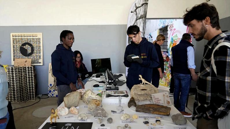 Ninho com ovos de dinossauro de 150 milhões de anos encontrado em Torres Vedras