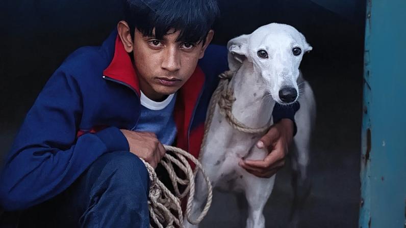 Filme "Ciudad sin sueño", de Guillermo Galoe