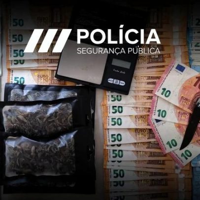 PSP prende traficante que atiçou cão perigoso a agentes